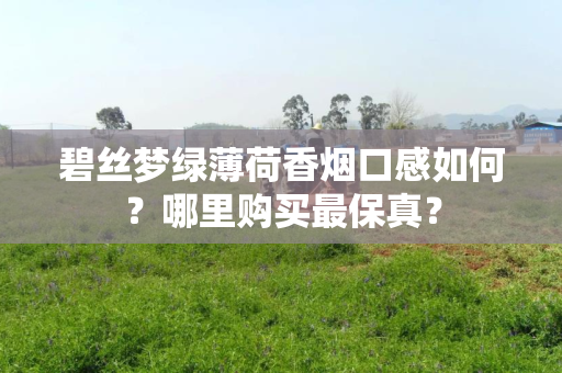 碧丝梦绿薄荷香烟口感如何？哪里购买最保真？
