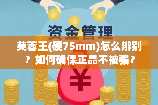 芙蓉王(硬75mm)怎么辨别？如何确保正品不被骗？